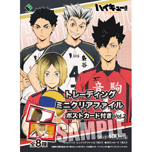 Haikyu!! To The Top Trading Mini Clear File with Postcard Vol. 2 [BLIND BOX]