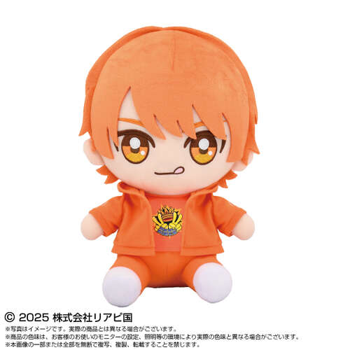 -PRE ORDER- Real Piece Chibi Plush Big Kaz
