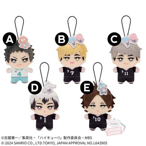 Haikyu!! x Sanrio Characters Chimittomonui Plush Vol.3