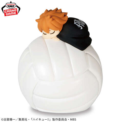 -PRE ORDER- Suyasuya Room Light Shoyo Hinata