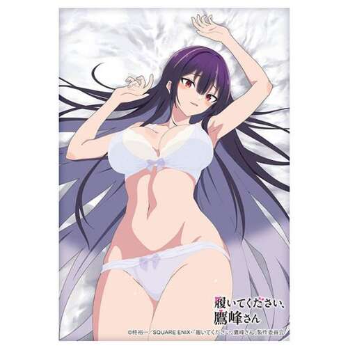 -PRE ORDER- Bushiroad Sleeve Collection High-grade Vol. 4837 Takamine Takane Lingerie Ver.