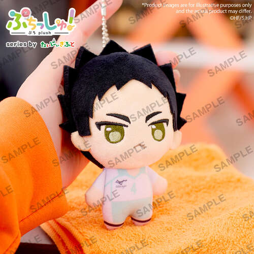 -PRE ORDER- Puchish! Volume 1 Hajime Iwaizumi