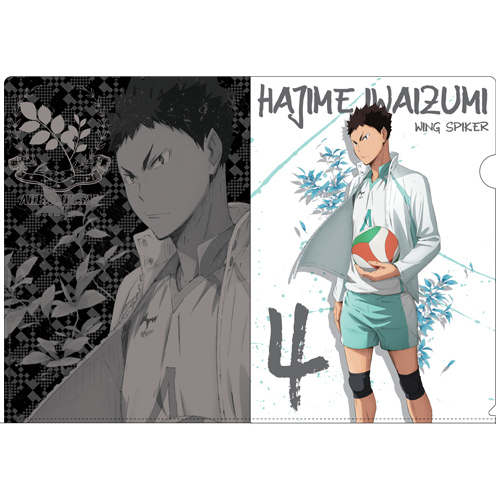 Iwaizumi Hajime Clear File