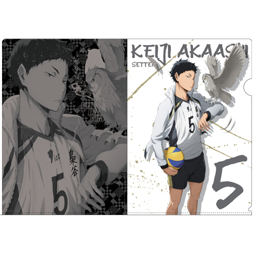 Akaashi Keiji Clear File
