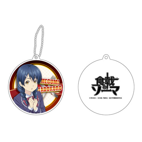 Reflection Key Chain Tadokoro Megumi