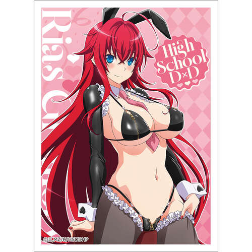 -PRE ORDER- High School DxD Hero Original Illustration Sleeve Rias Gremory / Reverse Bunny (Black)