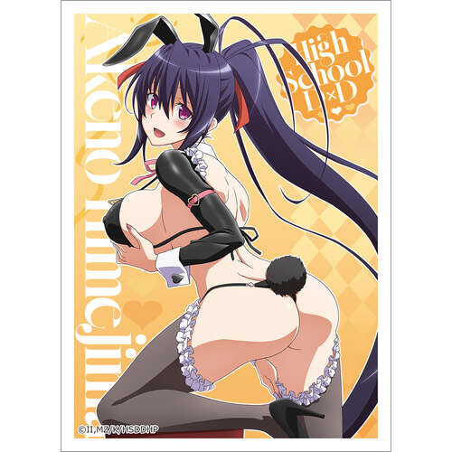 -PRE ORDER- High School DxD Hero Original Illustration Sleeve Himejima Akeno / Reverse Bunny (Black)