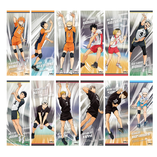 Haikyu!! To The Top Character Poster Collection 2 [BLIND BOX]