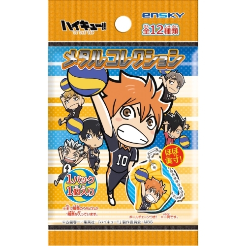 Haikyu!! To The Top Metal Collection [BLIND BOX]