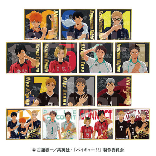 Haikyu!! Visual Shikishi Collection 8  [BLIND BOX]