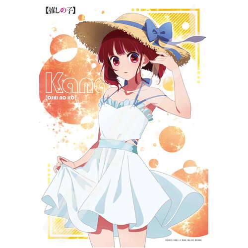 Jigsaw Puzzle 300 Piece 300-3138 Arima Kana