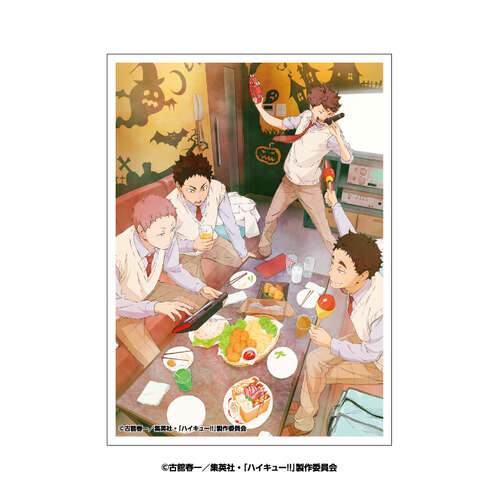 -PRE ORDER- Haikyu!! Character Sleeve Ohako EN-1636