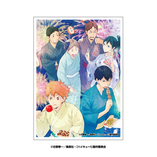 -PRE ORDER- Haikyu!! Character Sleeve Summer Festival EN-1635
