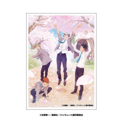 -PRE ORDER- Haikyu!! Character Sleeve Cherry Blossoms Blizzard EN-1633