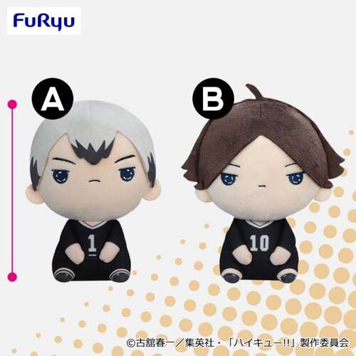 -PRE ORDER- Haikyu!! Mochipico Plush 10