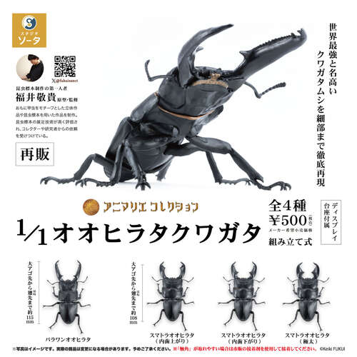Animalier Collection 1/1 Giant Stag Beetle [GACHAPON]