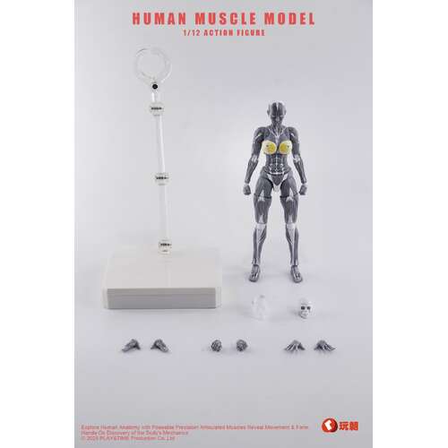 -PRE ORDER- Human Muscle Model Female Ver. 1/12 Scale Action Figure Grey