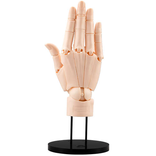 -PRE ORDER- Artist Support Item Hand Model/R Pale Orange [Re-release]
