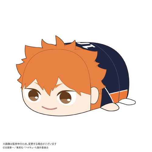 HQ-74 Haikyu!! Potekoro Mascot (M Size) A Hinata Shoyo