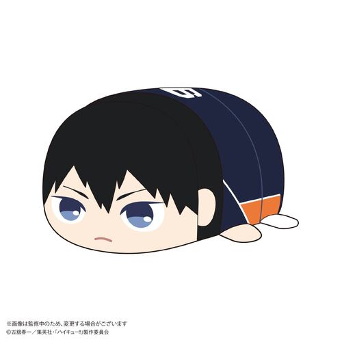 HQ-74 Haikyu!! Potekoro Mascot (M Size) B Kageyama Tobio