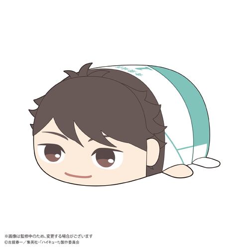 HQ-74 Haikyu!! Potekoro Mascot (M Size) D Oikawa Toru