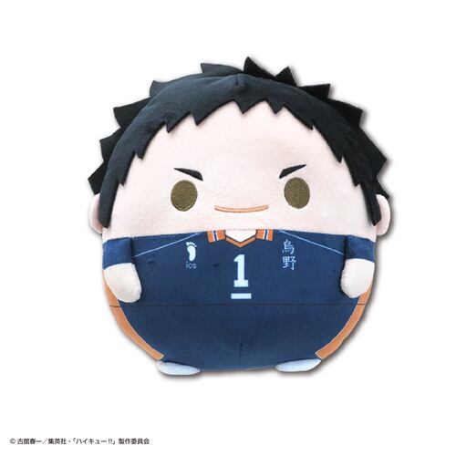 HQ-84 Haikyu!! Fuwakororin (M Size) 3 A Sawamura Daichi