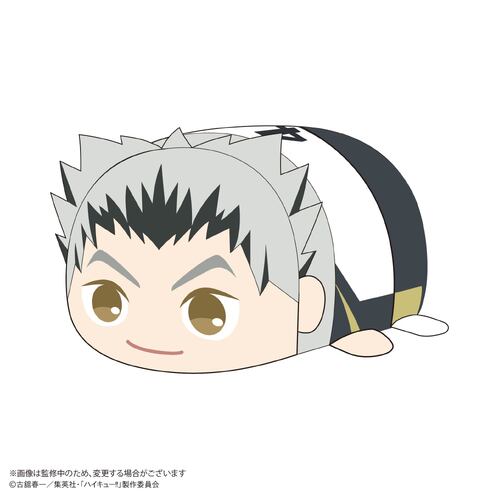 HQ-82 Haikyu!! Potekoro Mascot Big 2 E Bokuto Kotaro
