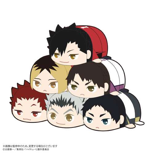 HQ-78 Haikyu!! Potekoro Mascot 2 [BLIND BOX]