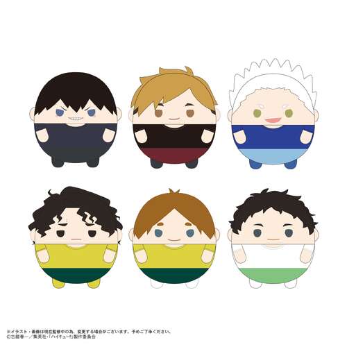 HQ-76 Haikyu!! Fuwakororin 10 [BLIND BOX]