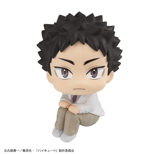 -PRE ORDER- Lookup Hajime Iwaizumi [Re-release]