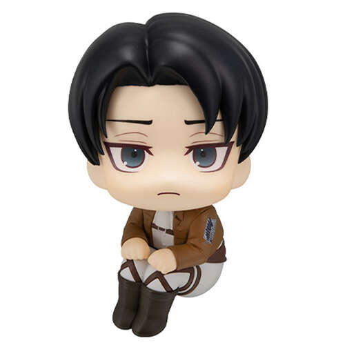 -PRE ORDER- Lookup Levi