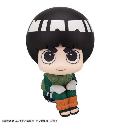 -PRE ORDER- Lookup Rock Lee