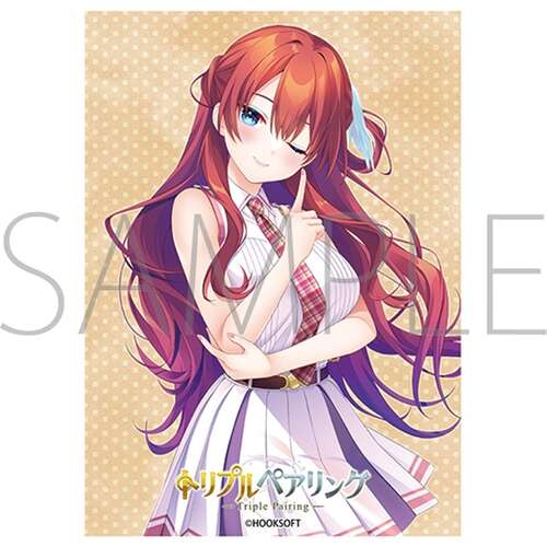 -PRE ORDER- Chara Sleeve Collection Matt Series HOOKSOFT Triple Pairing Otorimine Nazca No. MT2476
