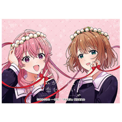 -PRE ORDER- Chara Sleeve Collection Matt Series I Want to Love You Till Your Dying Day Mimi & Sheena B No. MT2495
