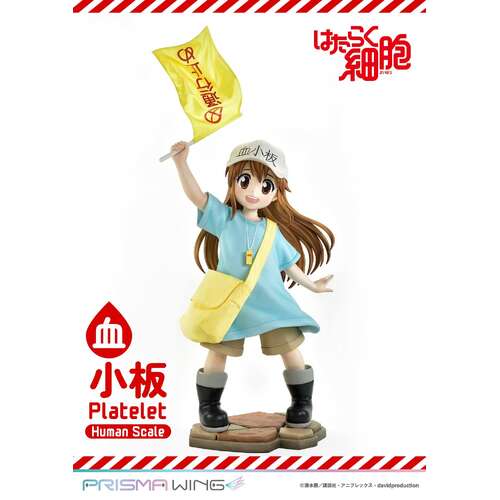 -PRE ORDER- Life Scale Masterline Platelet