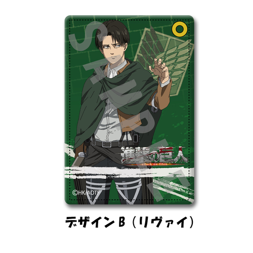 Pass Case Design B Levi