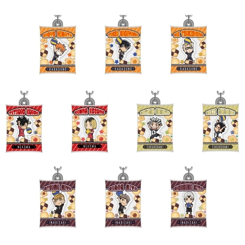 Air Fuwa Key Chain Haikyu!! To The Top [BLIND BOX]