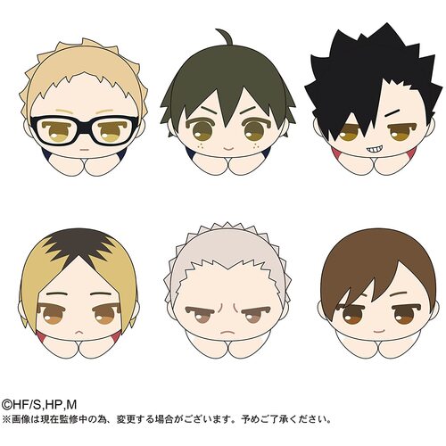 HQ-06 Haikyu!! Hug x Character Collection 2 [BLIND BOX]