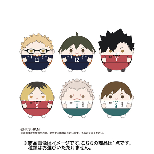 HQ-05 Haikyu!! Fuwakororin 2 [BLIND BOX]